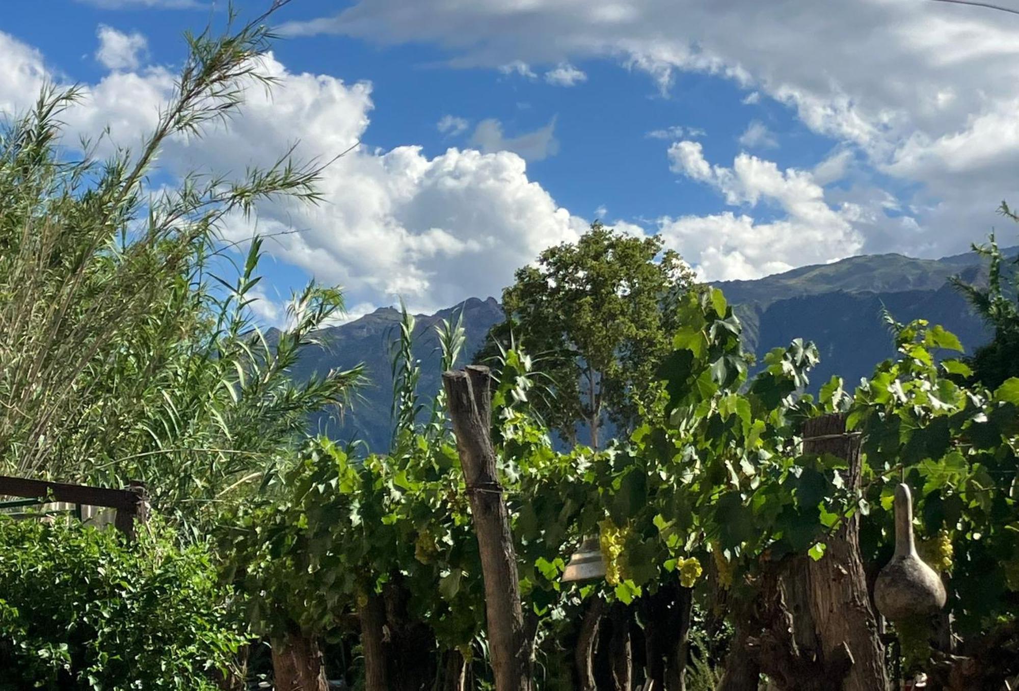 Casa Prana Estudio De Yoga Cafayate Luaran gambar