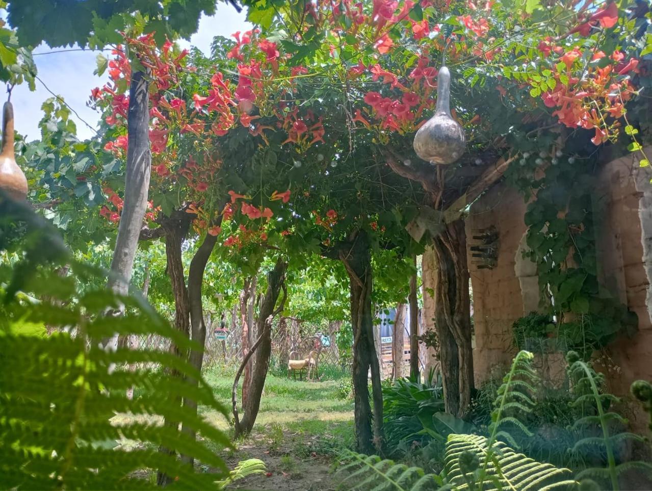 Casa Prana Estudio De Yoga Cafayate Luaran gambar